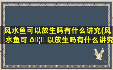 风水鱼可以放生吗有什么讲究(风水鱼可 🦅 以放生吗有什么讲究嘛)